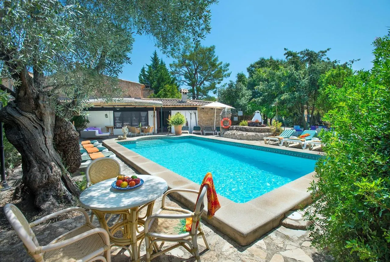 Owl Booking Villa Rafals - Wonder In The Midst Of Nature Pollença Spanien