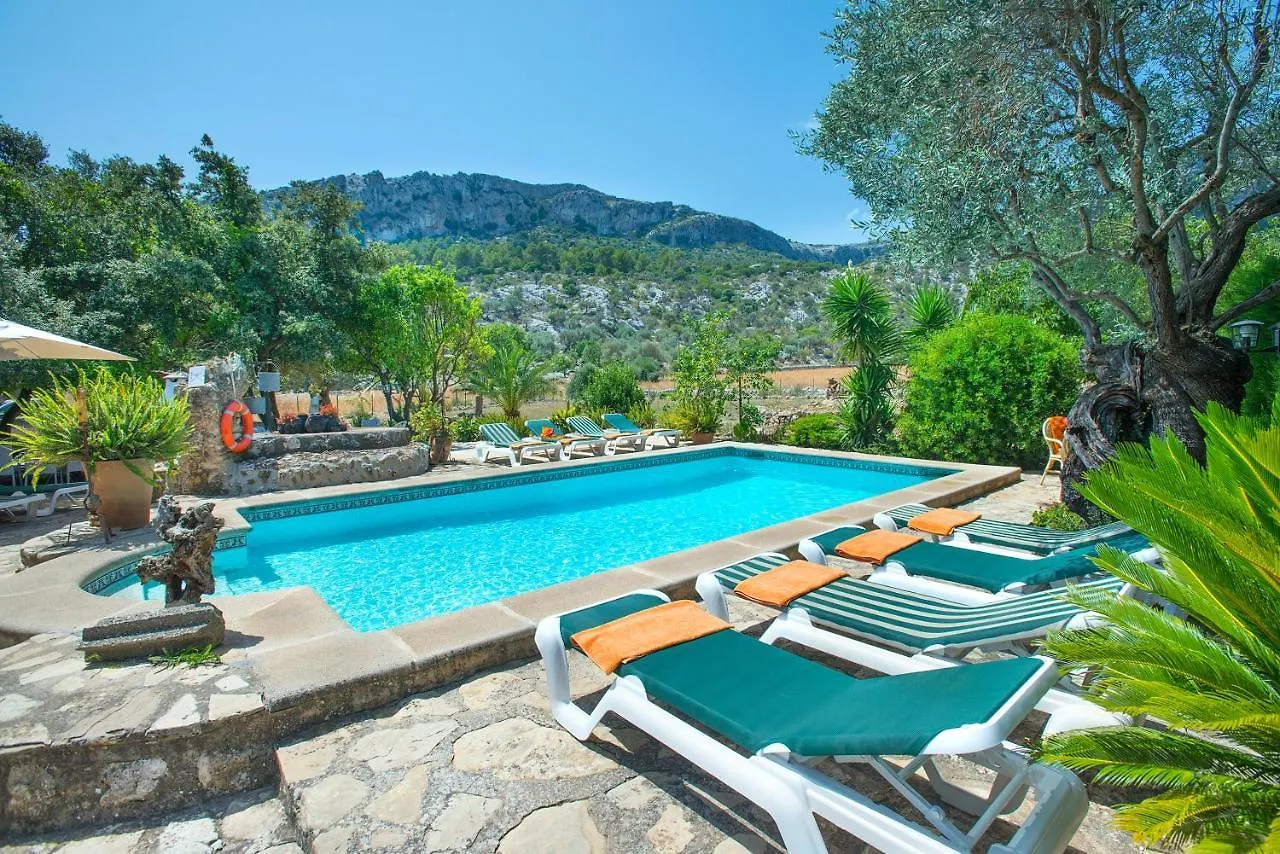 Owl Booking Villa Rafals - Wonder In The Midst Of Nature Pollença