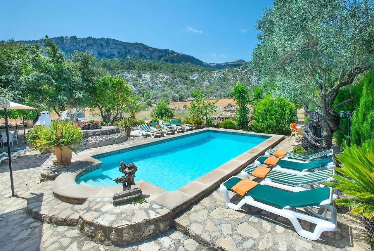 Owl Booking Villa Rafals - Wonder In The Midst Of Nature Pollença